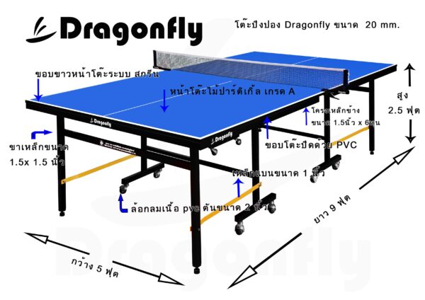โต๊ะปิงปอง DRAGONFLY 20 MM เกรด B - Image 3
