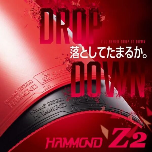 Nittaku HAMMOND Z2 - Image 4