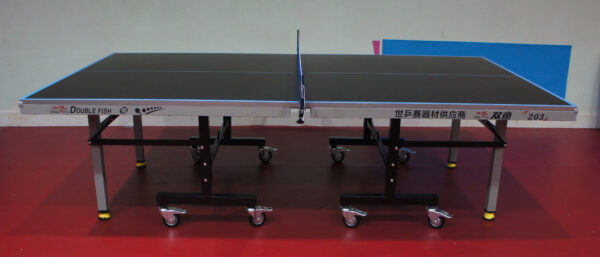 โต๊ะปิงปอง DOUBLE FISH 203 M-3 25mm. สินค้านำเข้า - Image 6