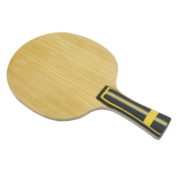 DAWEI DW-05 SAVIGA WRC CARBON FL - Image 2