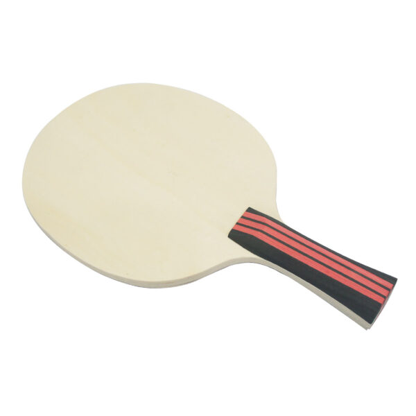 DAWEI DW-WB-3 TRANING BLADE FL - Image 2