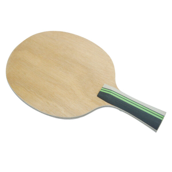 DAWEI DW-WB-4 TRANING BLADE FL - Image 2