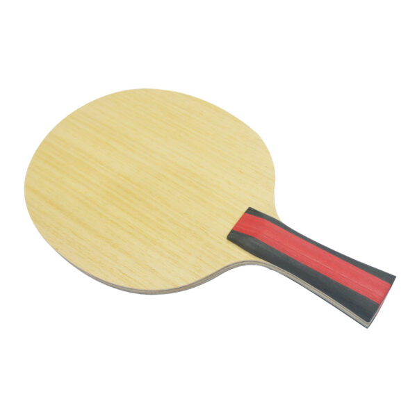 DAWEI DW-WB-5 TRANING BLADE FL - Image 2