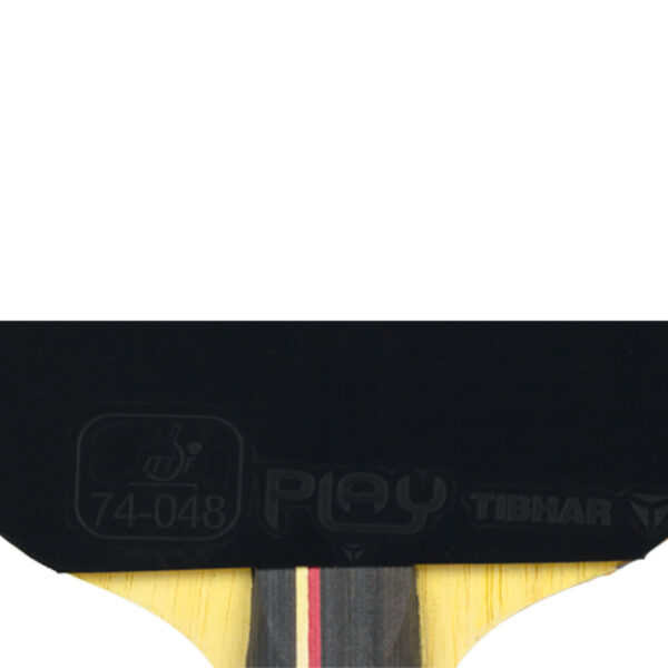 TIBHAR BAT ROOKIE JORGIC - Image 6