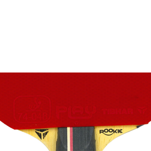 TIBHAR BAT ROOKIE JORGIC - Image 7