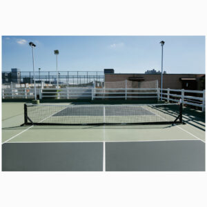 DHS DHQW 606 PICKLEBALL NET