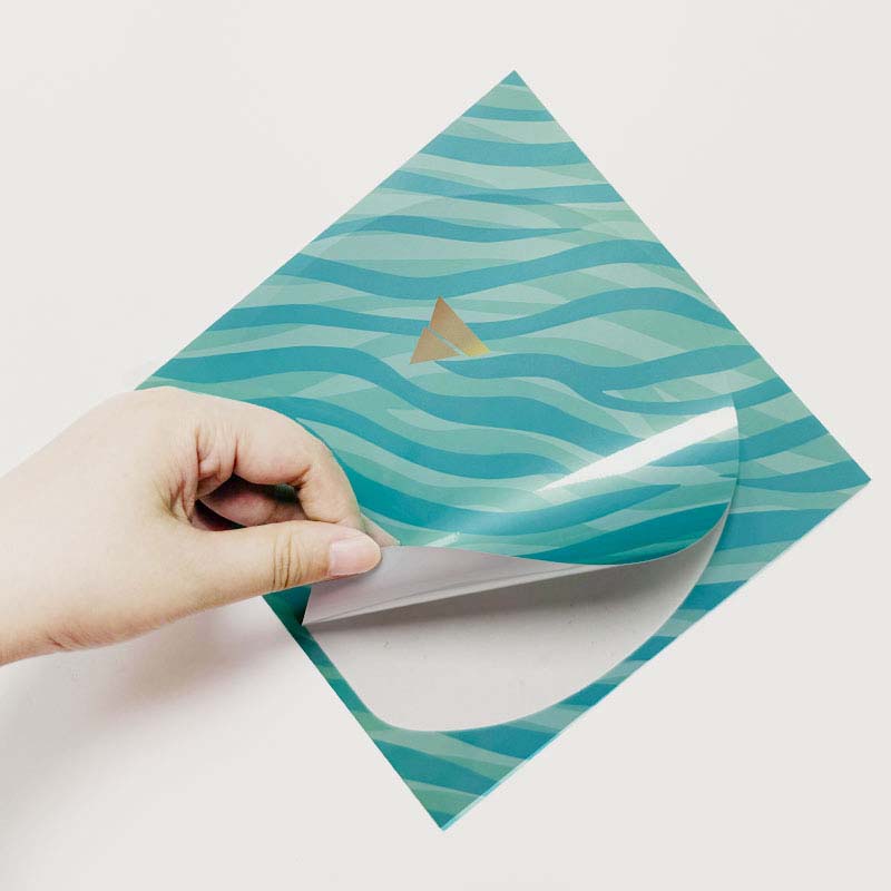 VICTAS VC-726 PROTECTION SHEET Blue/Green (2pc.) - Image 3